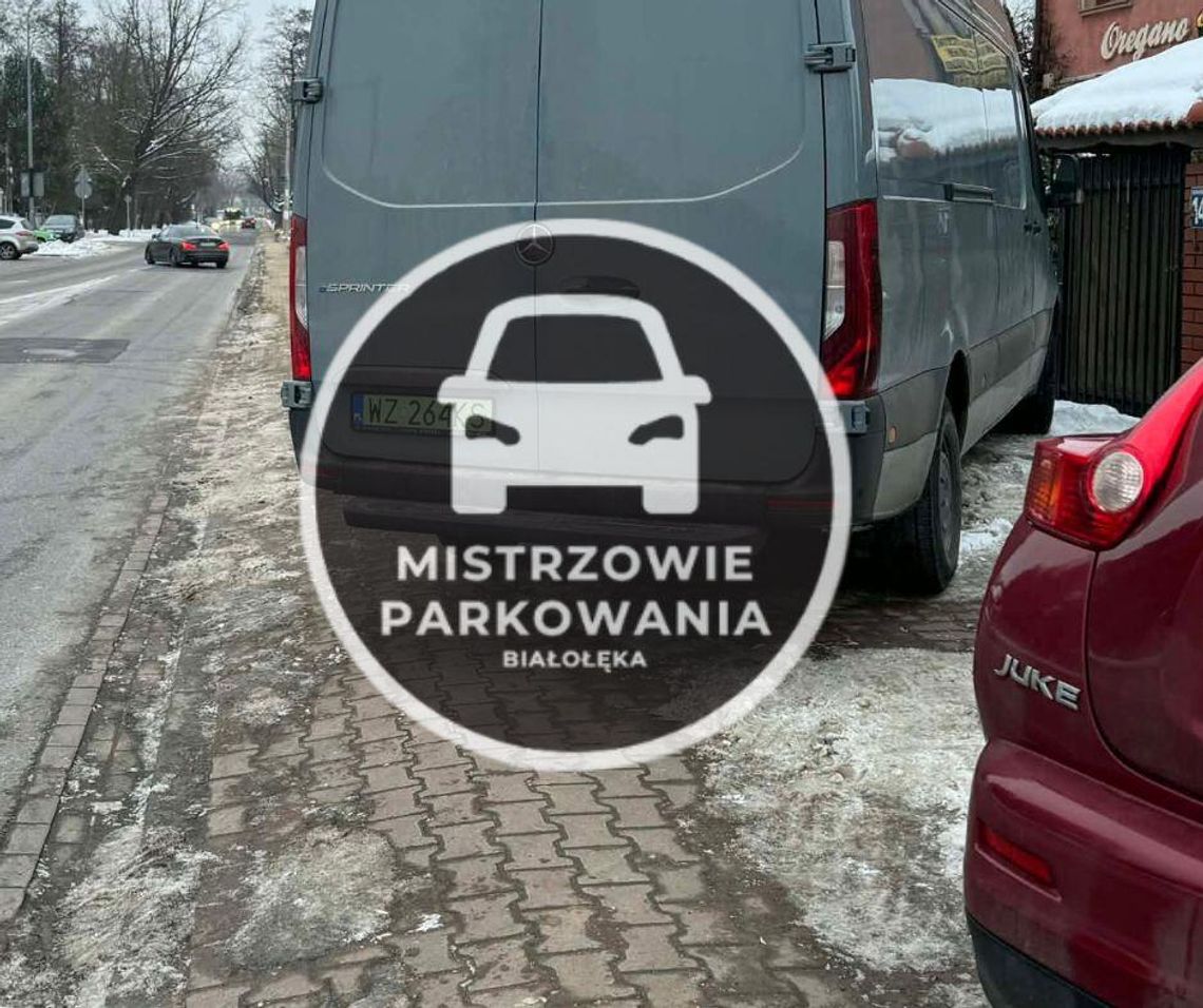 Mistrzowie parkowania #75
