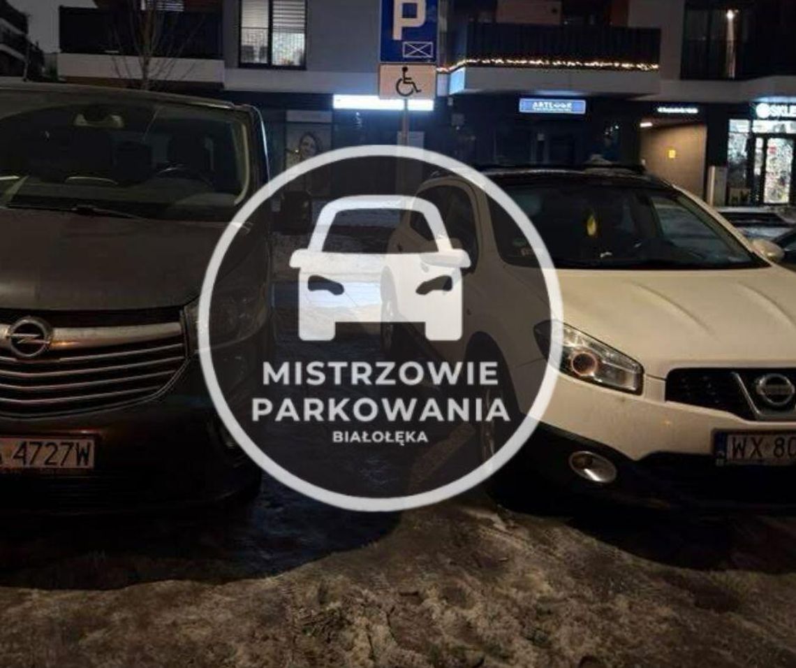 Mistrzowie parkowania #76 Mistrzowie parkowania #76