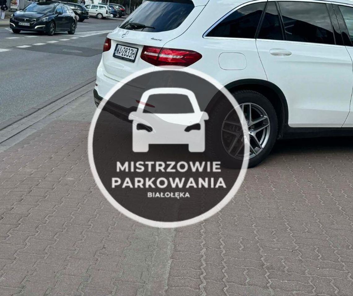 Mistrzowie parkowania #78 Mistrzowie parkowania #78