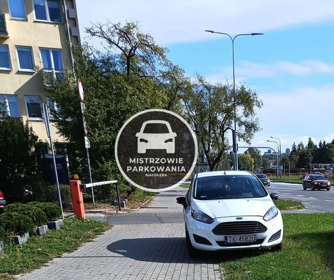 Mistrzowie parkowania #79