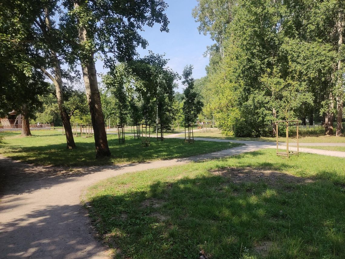 Park Picassa pod ostrzałem wandali. Radny alarmuje: „To już zagrożenie dla mieszkańców” Park Picassa pod ostrzałem wandali. Radny alarmuje: „To już zagrożenie dla mieszkańców”