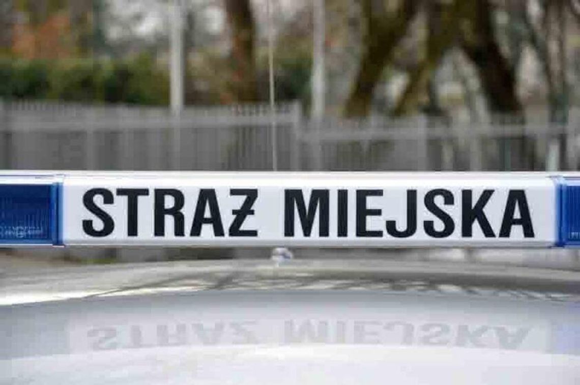 Skandaliczne zachowanie pasażera linii 511