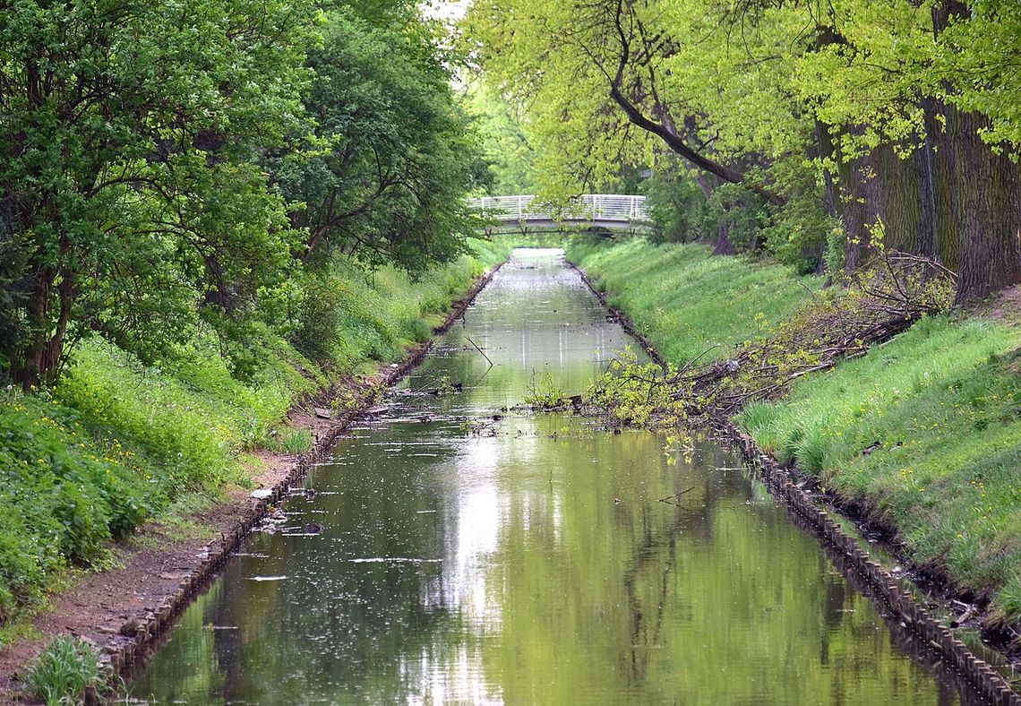 Spacerem po dzielnicy. 5 miejsc, które warto odkryć na nowo