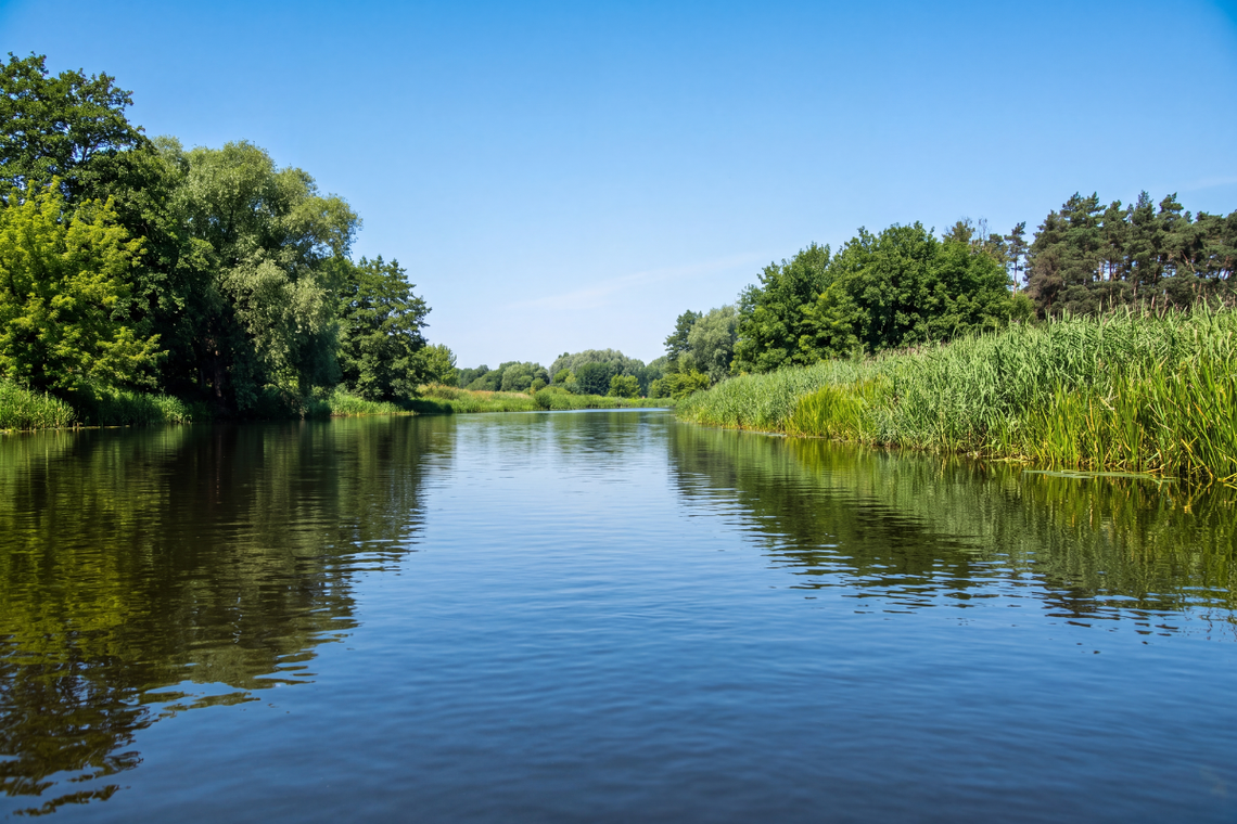 Wkra na jeden dzień. Spływ z Jońca do Pomiechówka - Rzeki Mazowsza, odcinek 3 Wkra na jeden dzień. Spływ z Jońca do Pomiechówka - Rzeki Mazowsza, odcinek 3