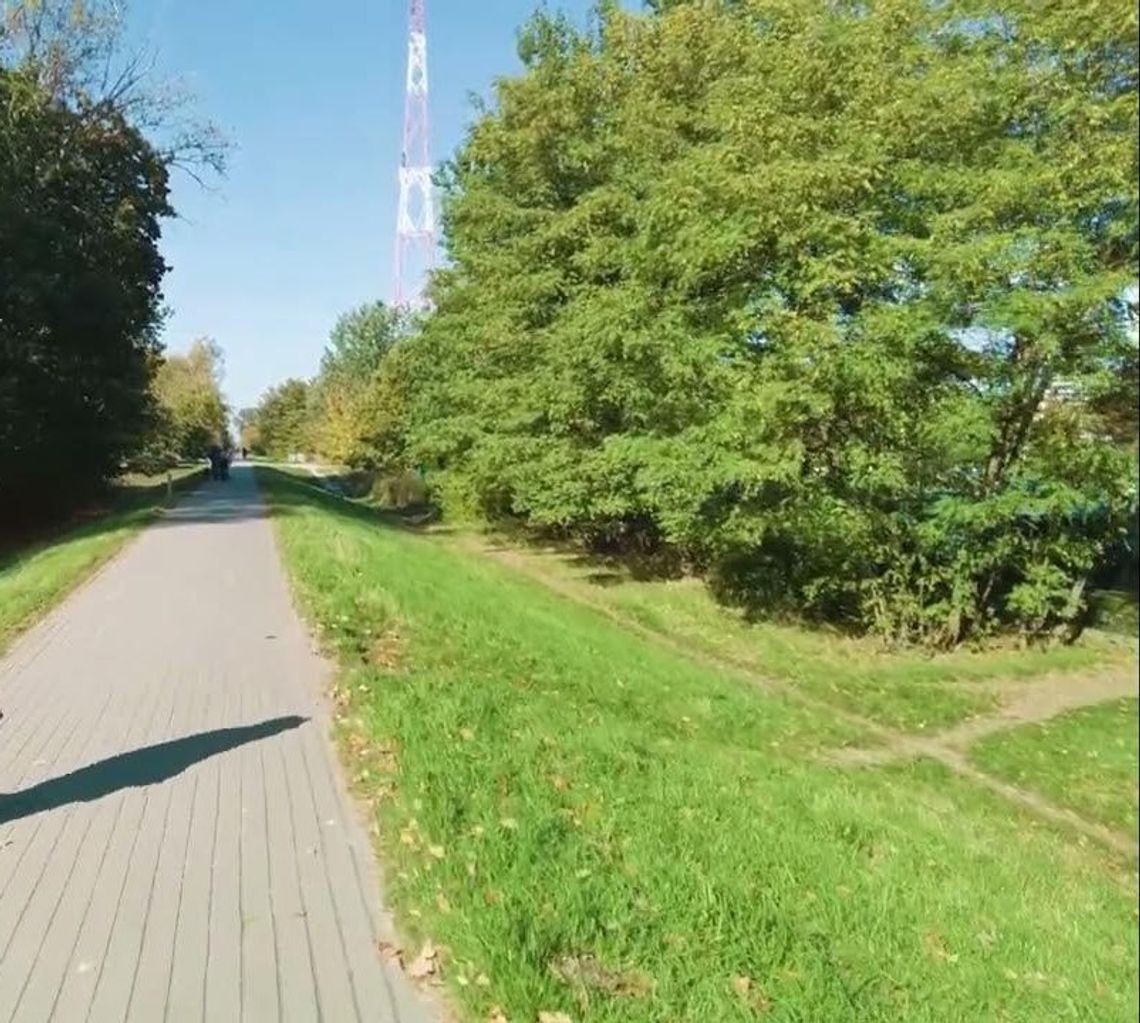 Zielona, ale zapomniana? Jak Warszawiacy widzą Białołękę Zielona, ale zapomniana? Jak Warszawiacy widzą Białołękę