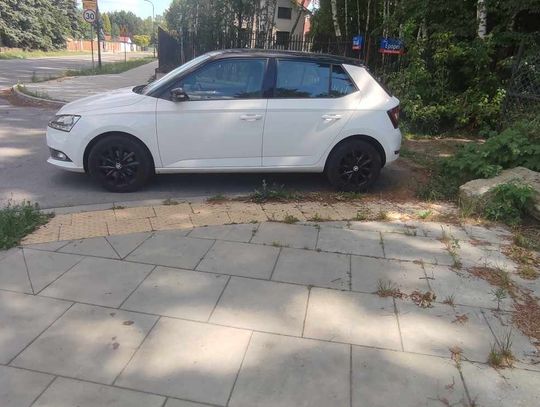 Mistrzowie Parkowania #77