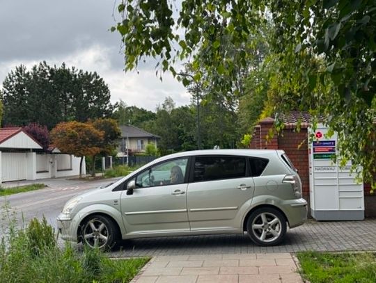 Mistrzowie Parkowania #81