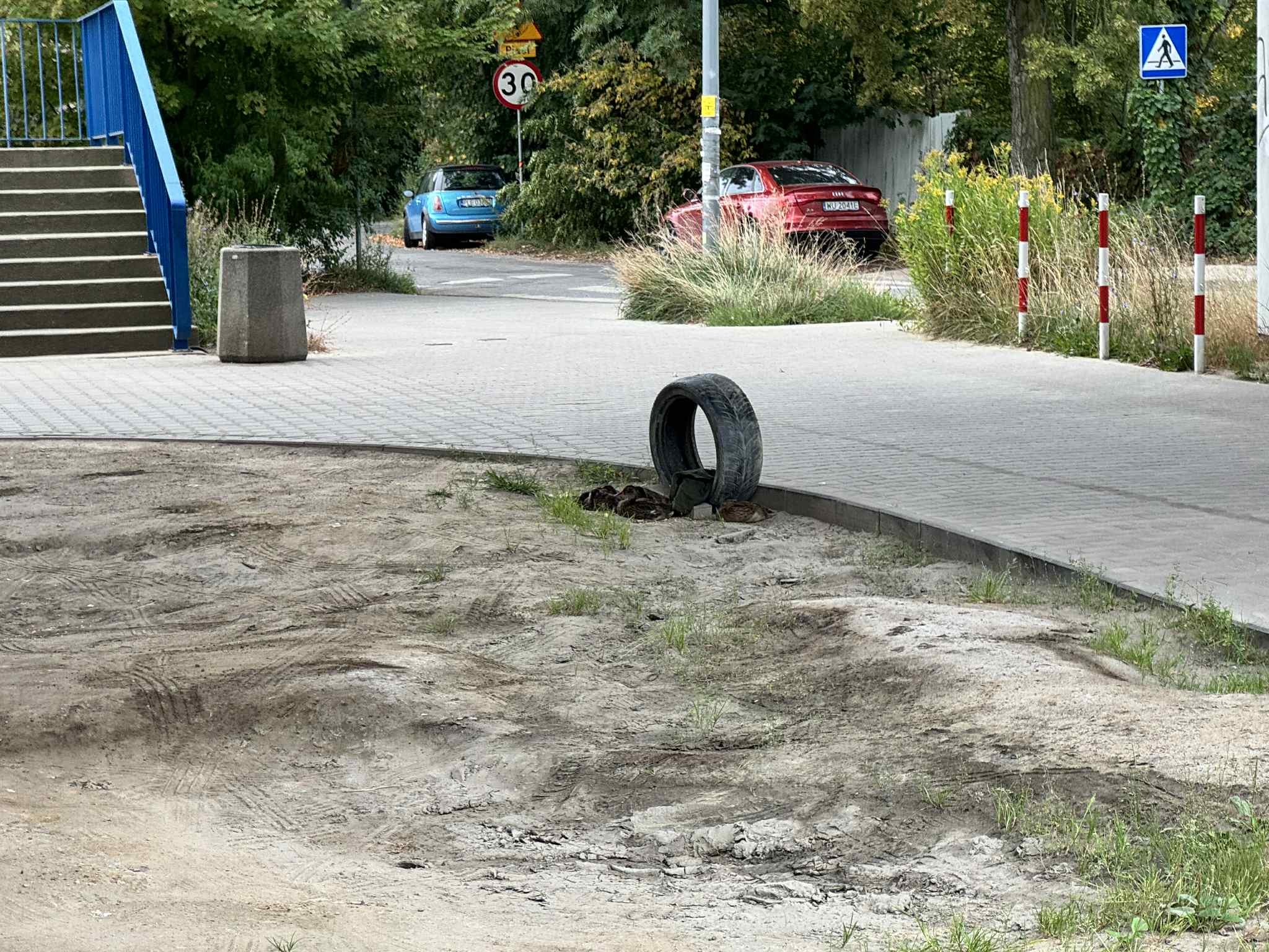 W okolicach stacji PKP Płudy pojawili się niecodzienni mieszkańcy – rodzina dzikich kaczek zadomowiła się tuż przy parkingu, wzbudzając zainteresowanie pasażerów i okolicznych mieszkańców. Choć miejsce wydaje się nietypowe, ptaki szybko zaadaptowały się do miejskiego otoczenia, przypominając nam, że przyroda potrafi odnaleźć się nawet w sercu miasta.