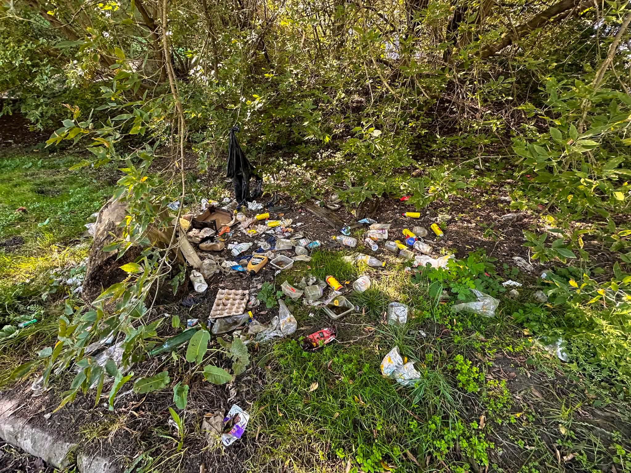 Mieszkańcy Białołęki po raz kolejny pokazali, że los najbliższego otoczenia nie jest im obojętny. W kilku częściach dzielnicy ruszyły wspólne akcje sprzątania, podczas których porządkowano tereny zielone, okolice osiedli i miejsca chętnie odwiedzane przez mieszkańców.
